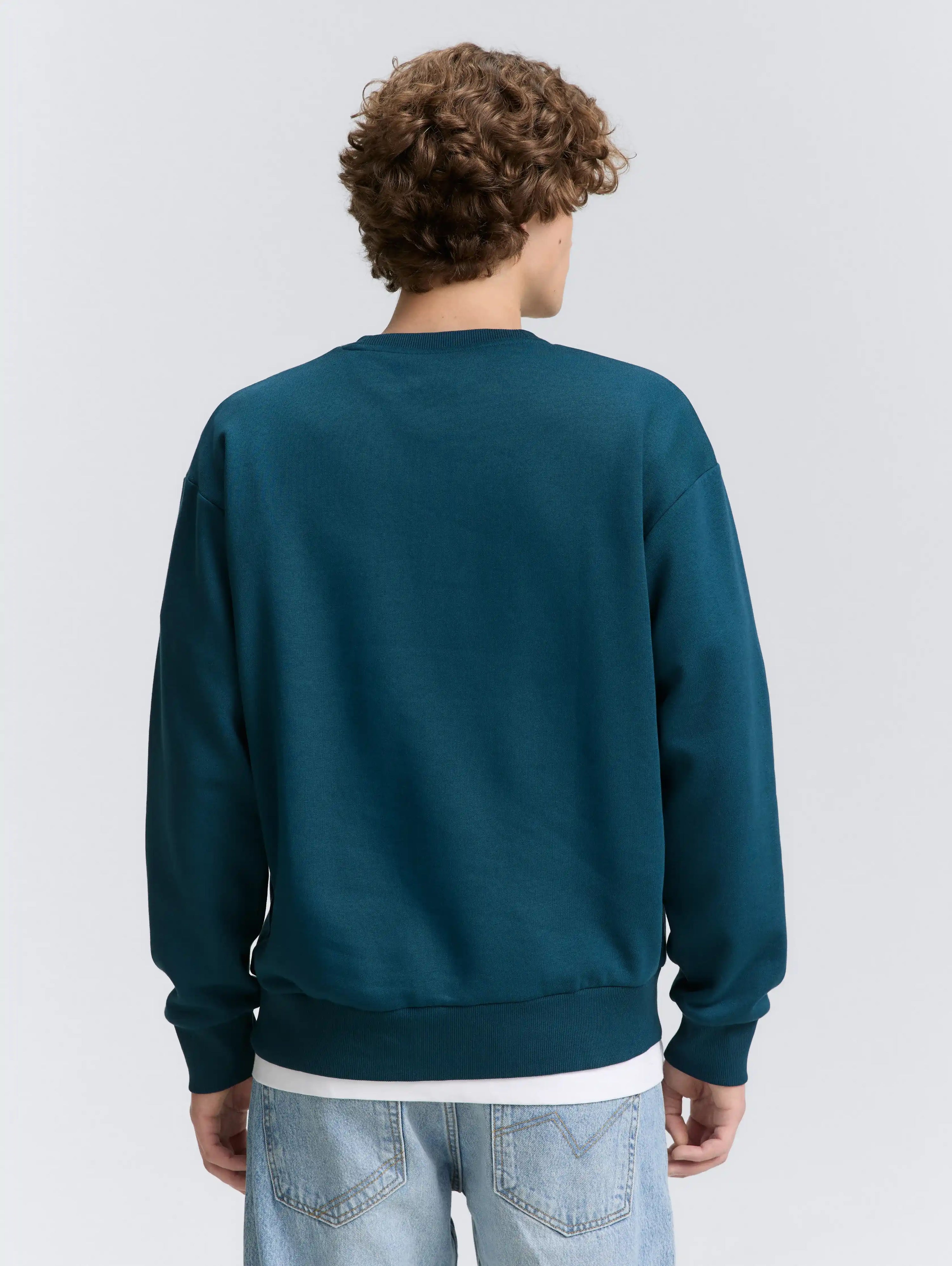 Tom Tailor_0_Crewneck Sweatshirt with Print_1047941_21179_04
