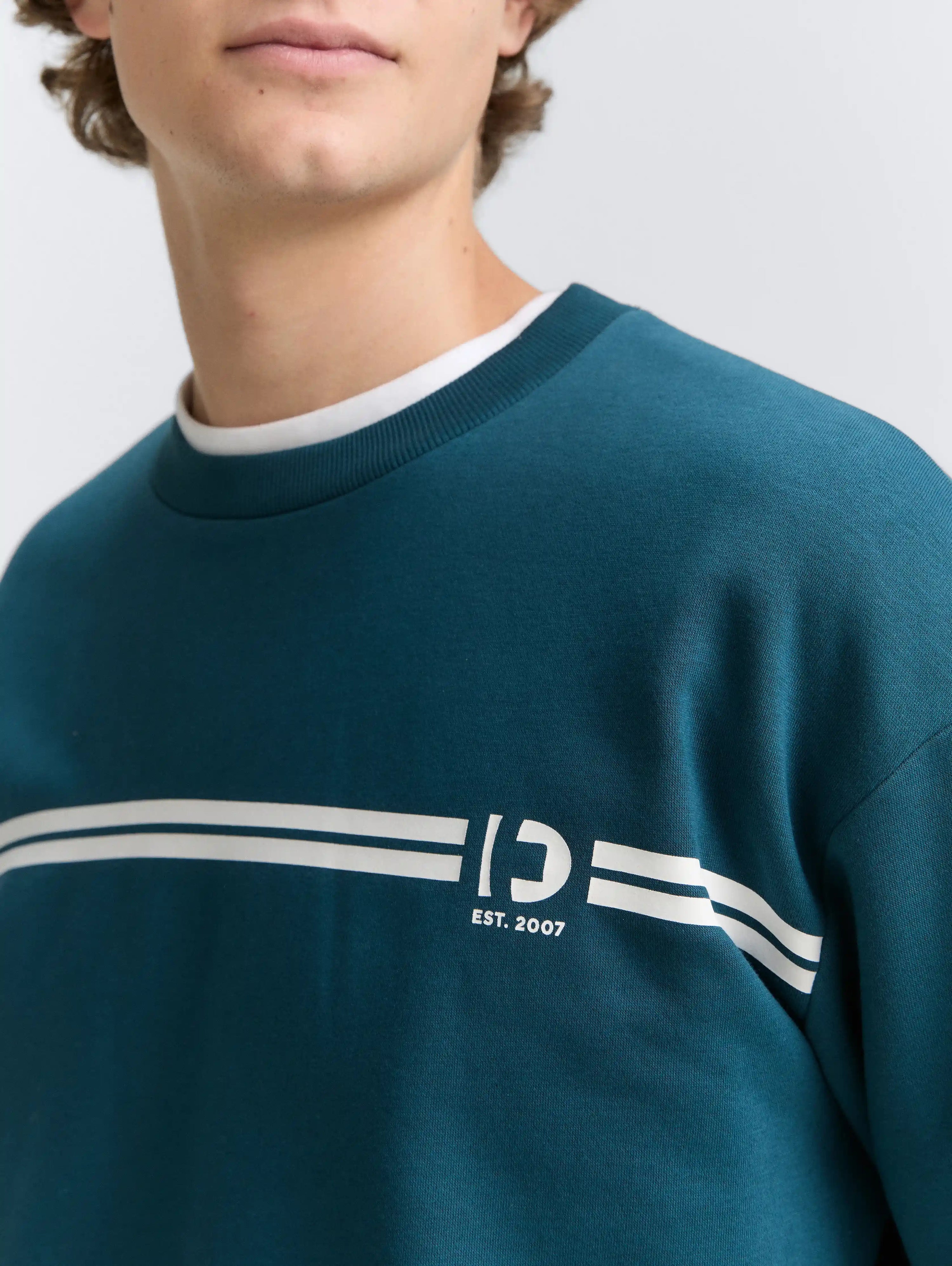 Tom Tailor_0_Crewneck Sweatshirt with Print_1047941_21179_05