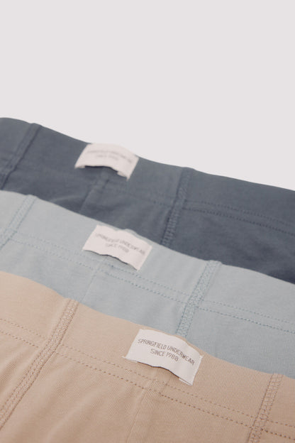 Springfield_Multi-Color_Pack 3 Comfort Boxers_1252178_83_03