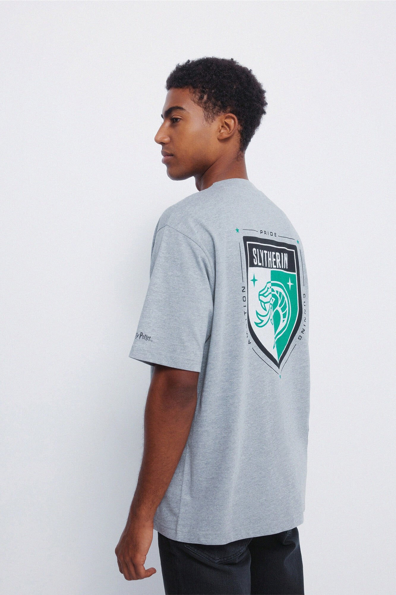 Springfield_Medium Grey_Slytherin T-Shirt_1452593_46_01