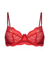 Isabelle Push Up Bra In Different Cup Sizes_184807_Tango Red_01