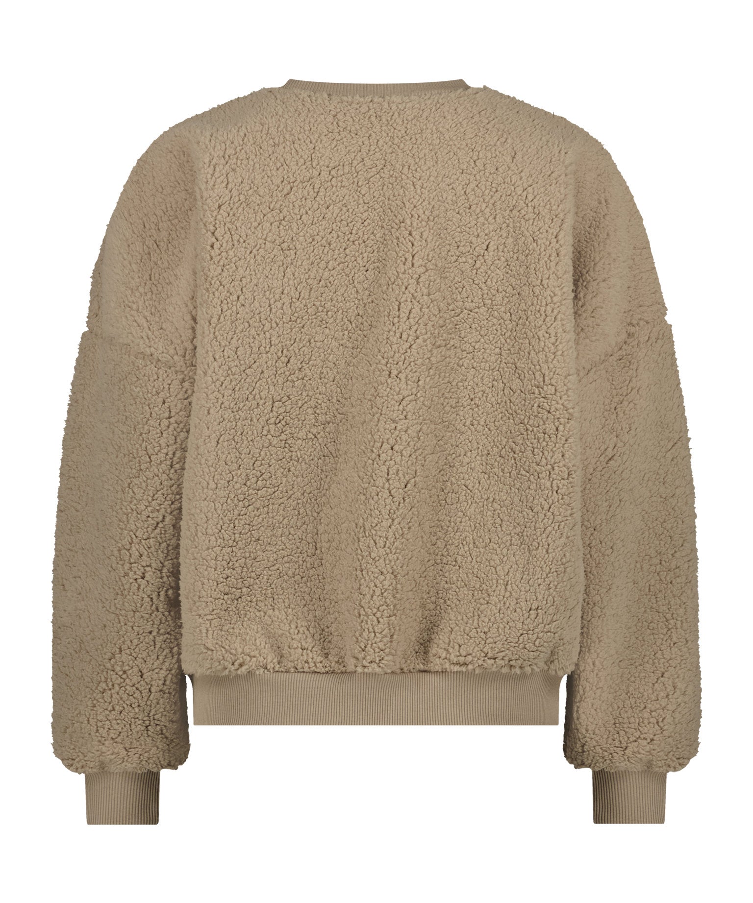 Top Long Sleeve Crew Teddy_200309_Light Taupe_05