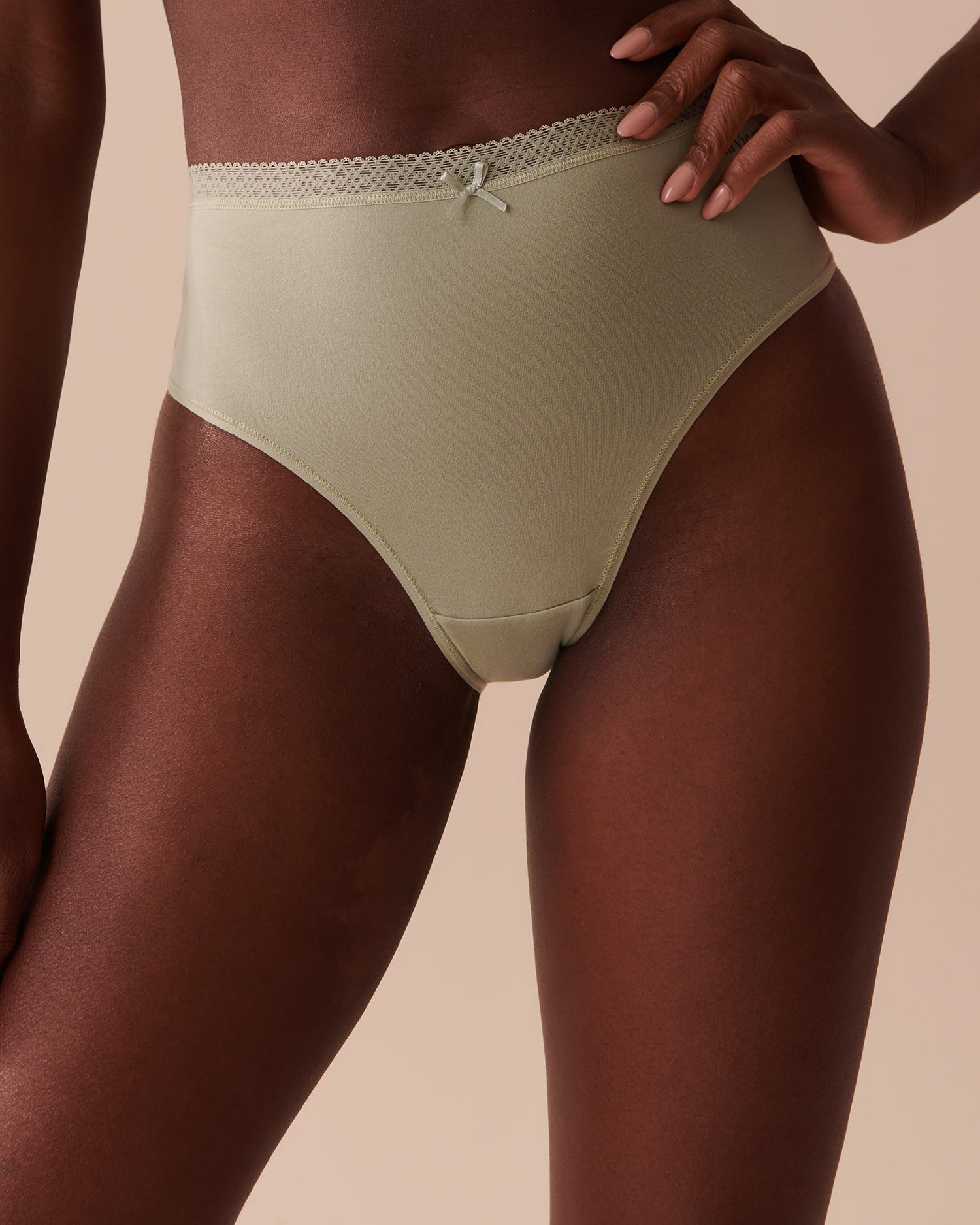 High Waist Briefs_20100405_30035_01