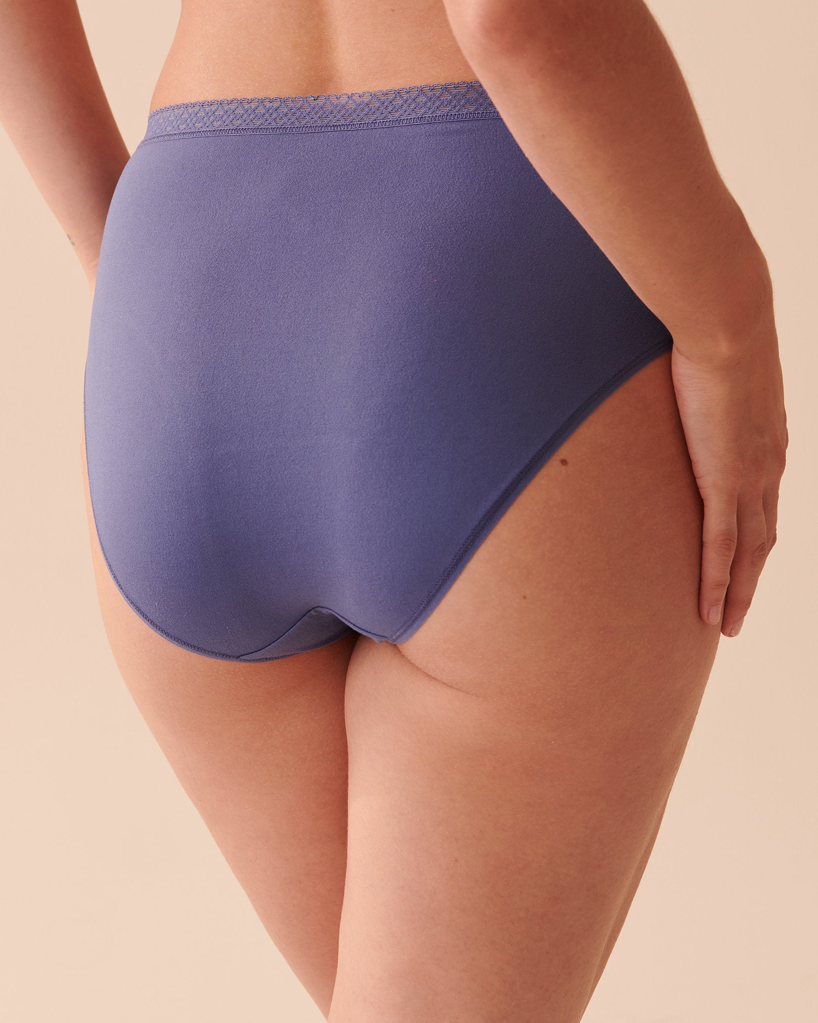 High Waist Briefs_20100405_40170_02
