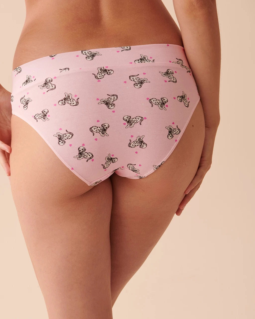 Cotton Bikini Style Briefs_20100413_P60255_02