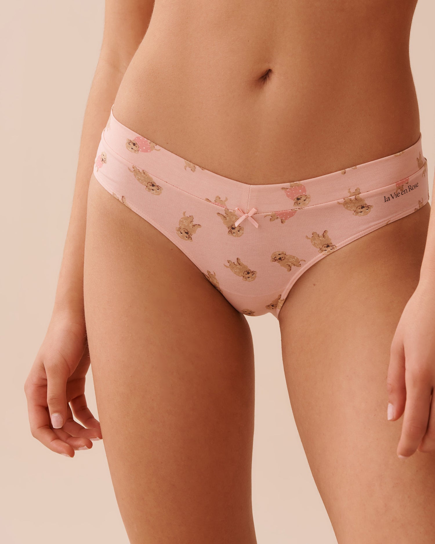 Be Comfy Cotton Bikini Briefs_20100480_P70054_01