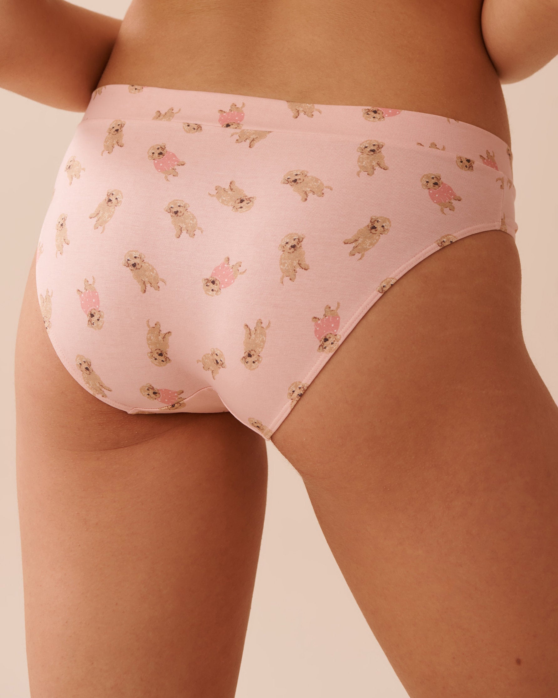 Be Comfy Cotton Bikini Briefs_20100480_P70054_05