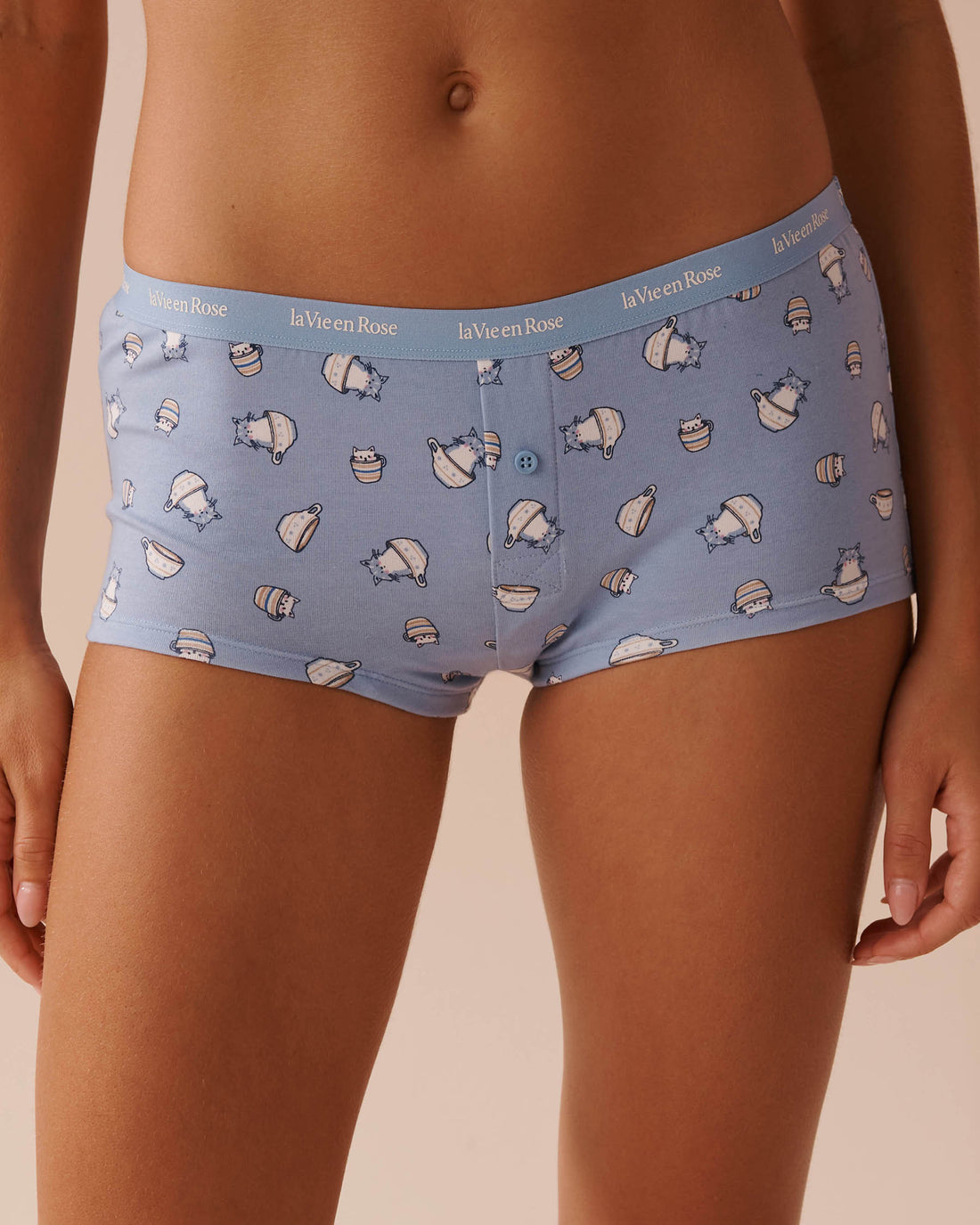 Boyshort Gena Cotton Briefs_20100500_P40357_01