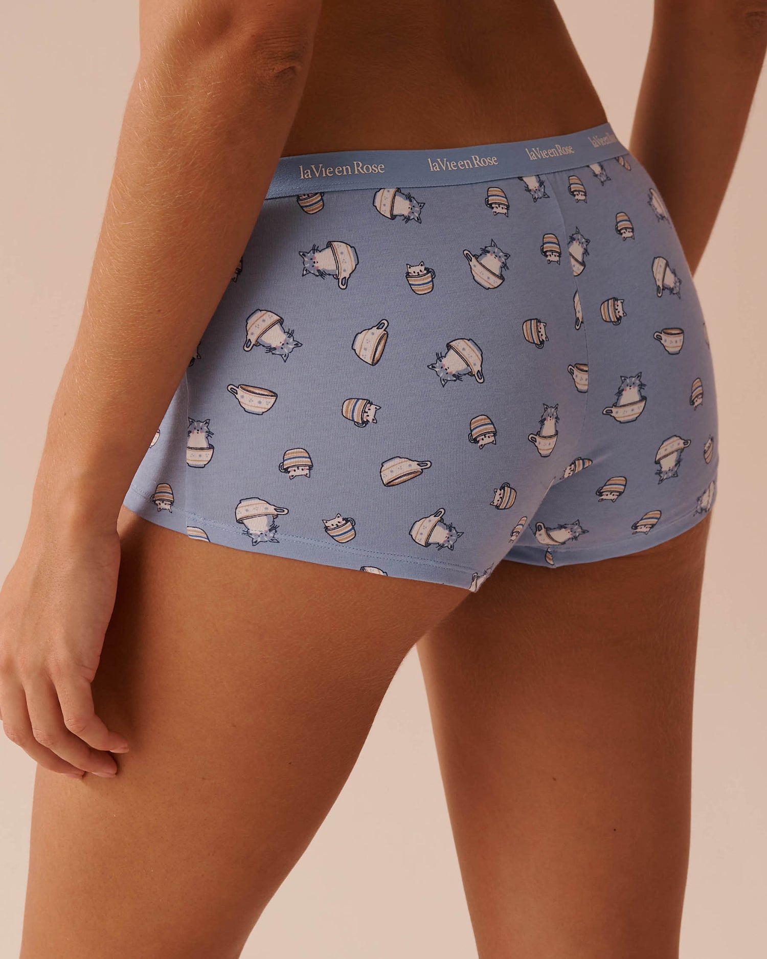 Boyshort Gena Cotton Briefs_20100500_P40357_03