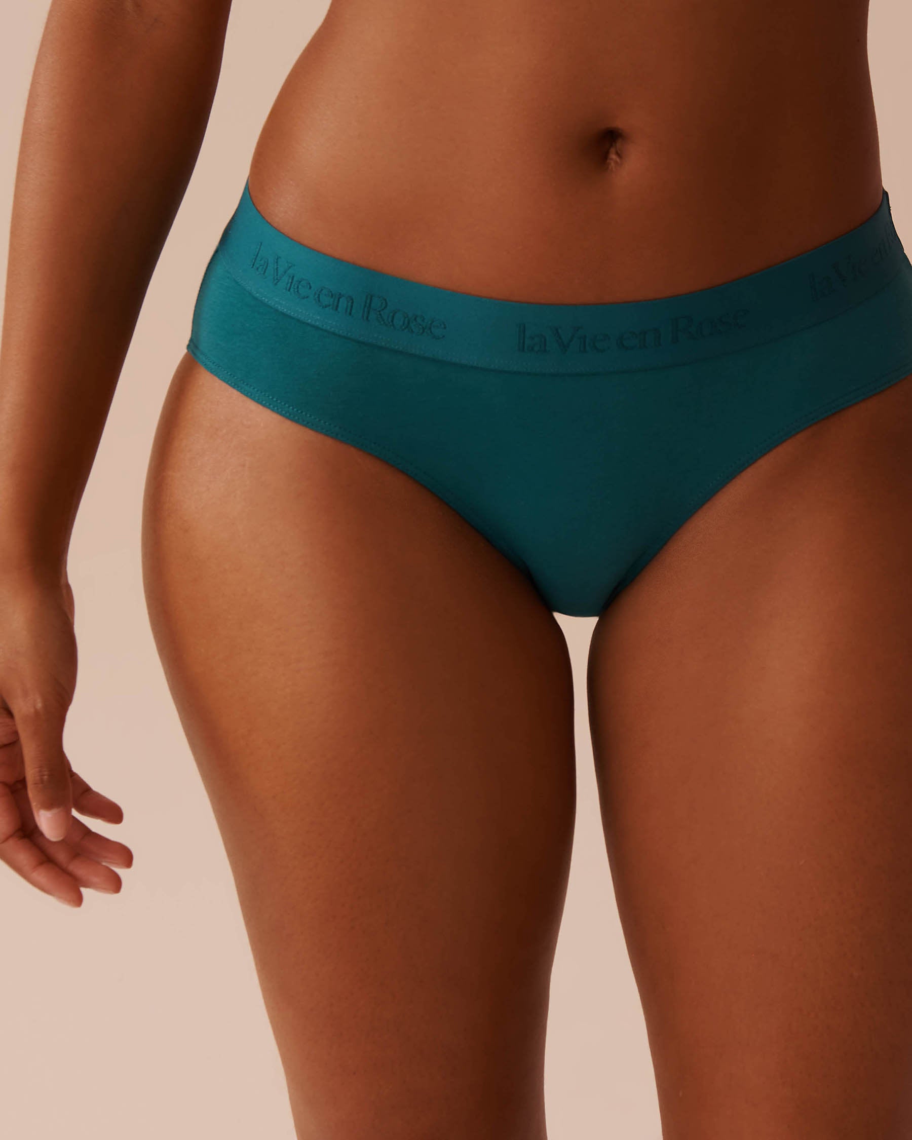 Cotton and Logo Elastic Band Bikini Panty_20100518_30032_01