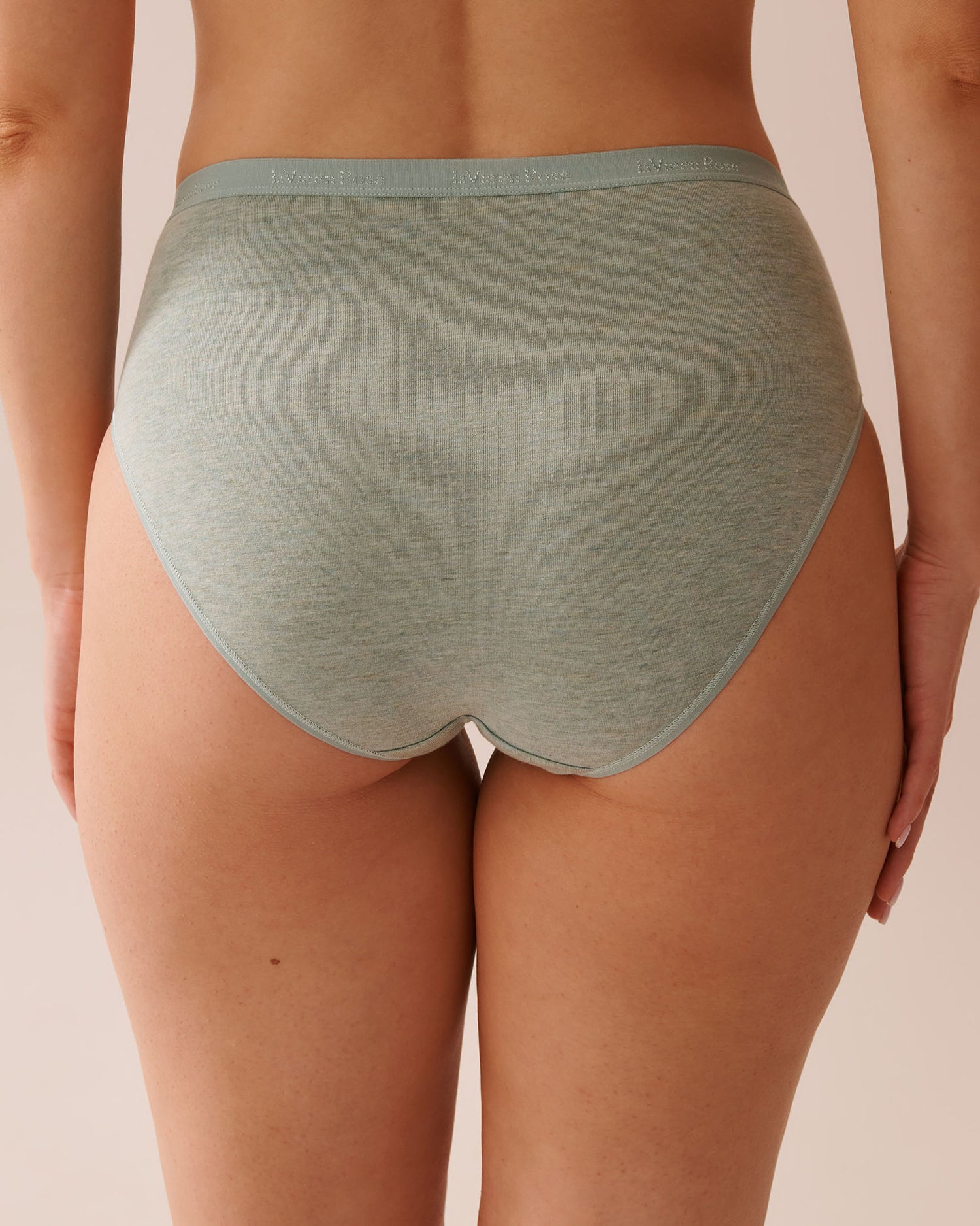 La Vie en Rose_Cotton High Waist Bikini Panty_20100576_40219_02