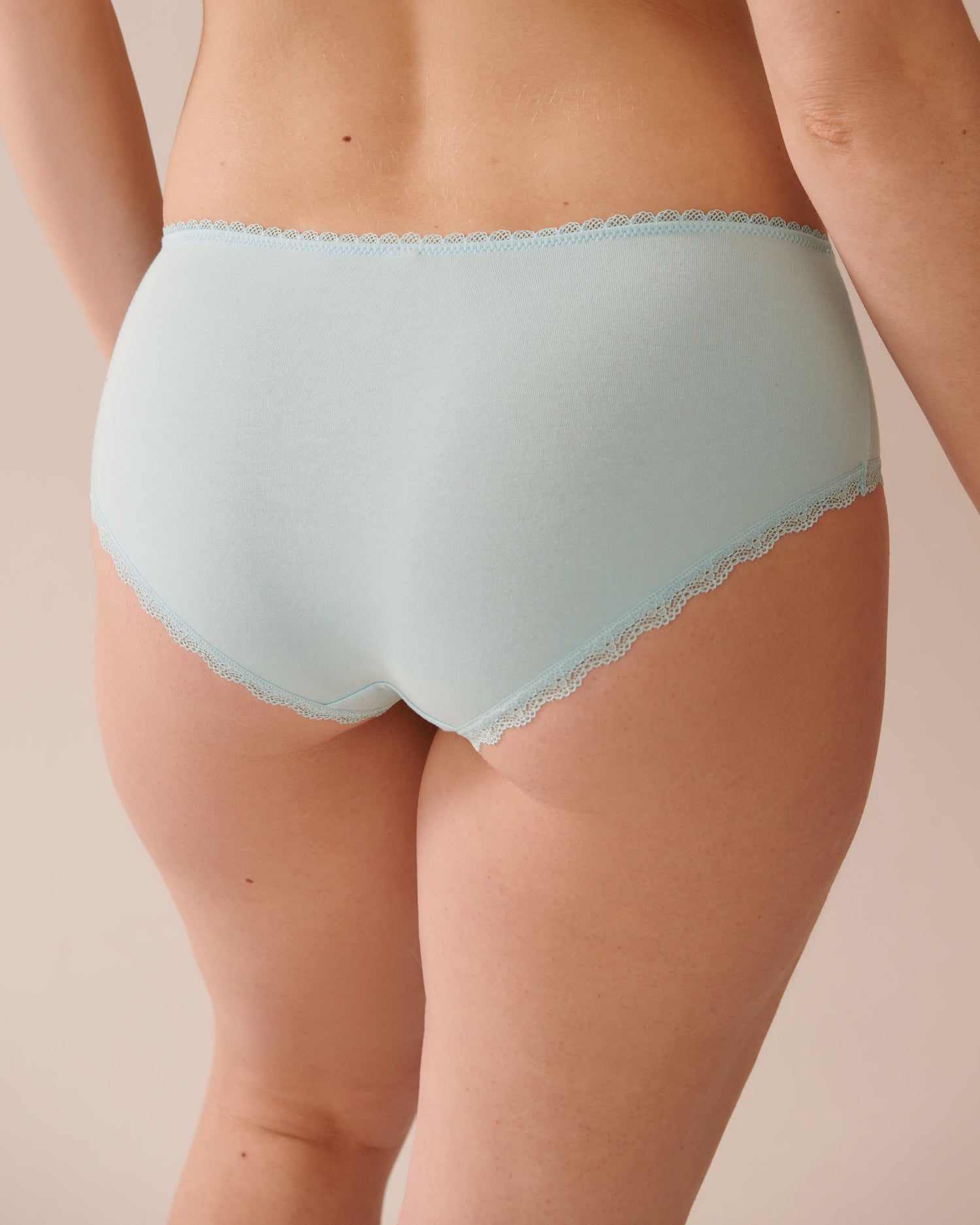 La Vie en Rose_Cotton and Lace Detail Hiphugger Panty_20100600_40090_02