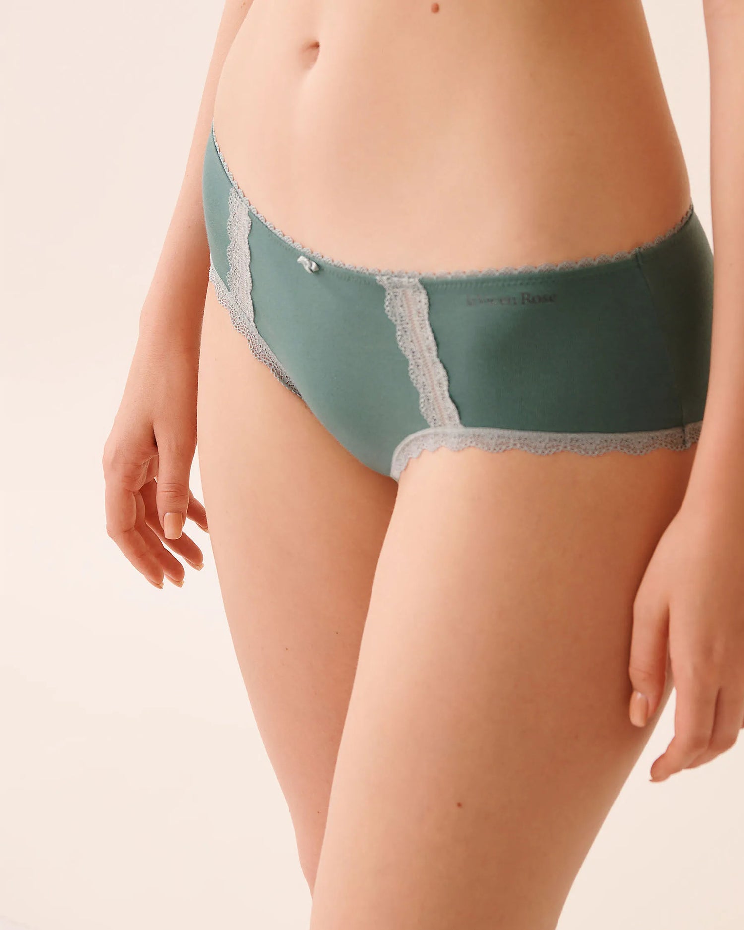 La Vie en Rose_Sagebrush Green_Cotton and Lace Detail Hiphugger Panty_20100650_30134_01