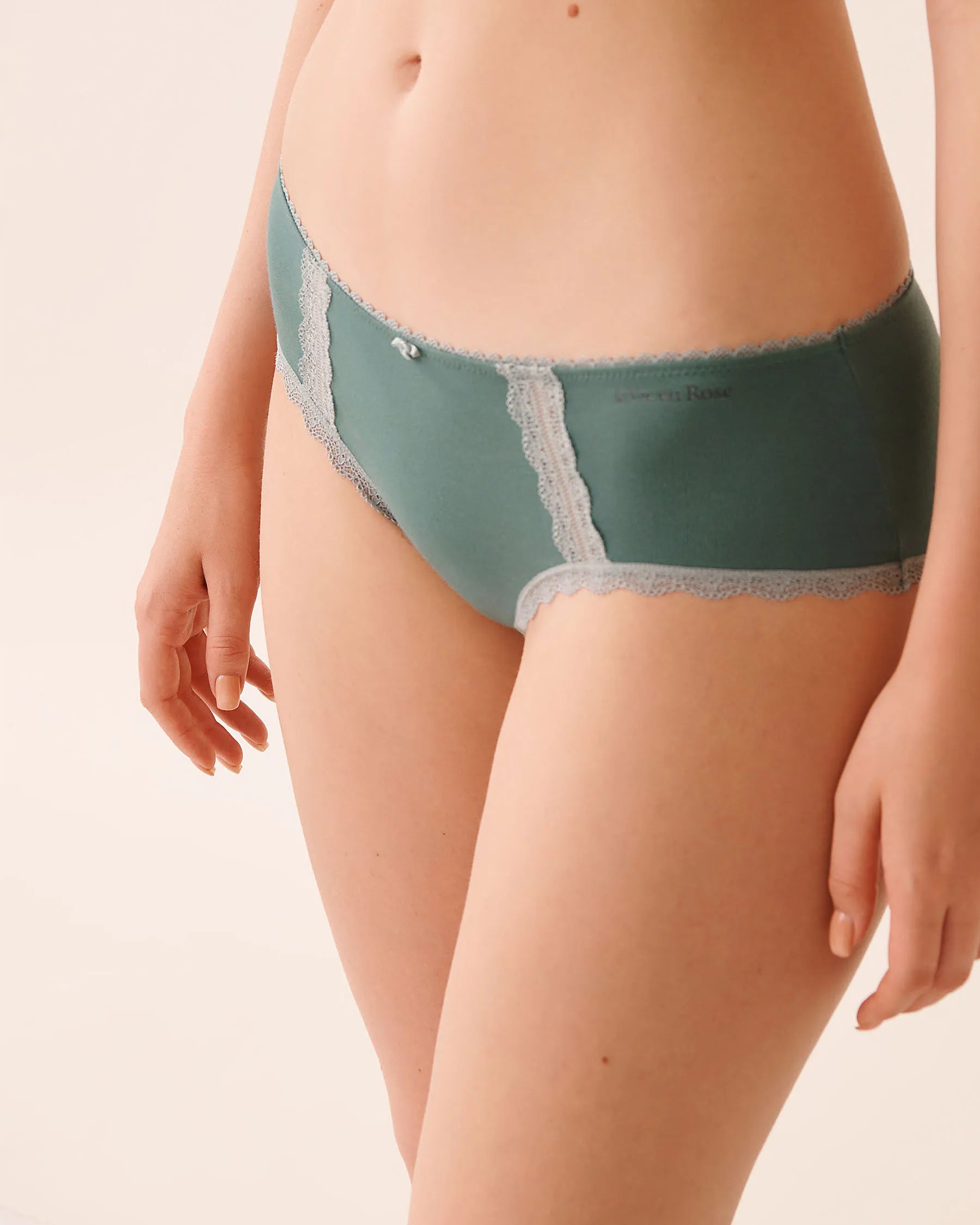 La Vie en Rose_Sagebrush Green_Cotton and Lace Detail Hiphugger Panty_20100650_30134_01