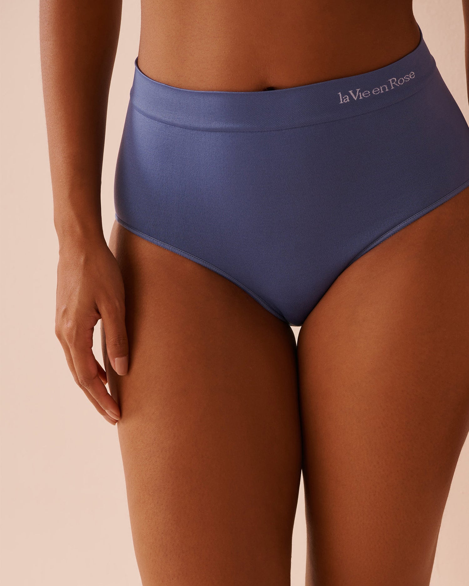 La Vie en Rose_Seamless Fabric High Waist Bikini Panty_20200578_40170_01