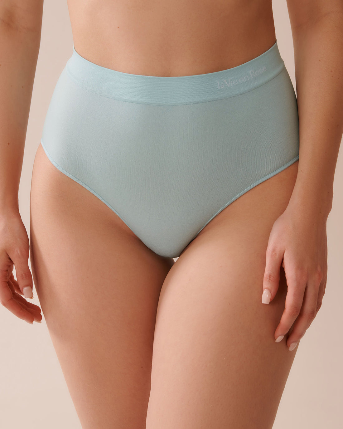 La Vie en Rose_Seamless Fabric High Waist Bikini Panty_20200616_40090_01