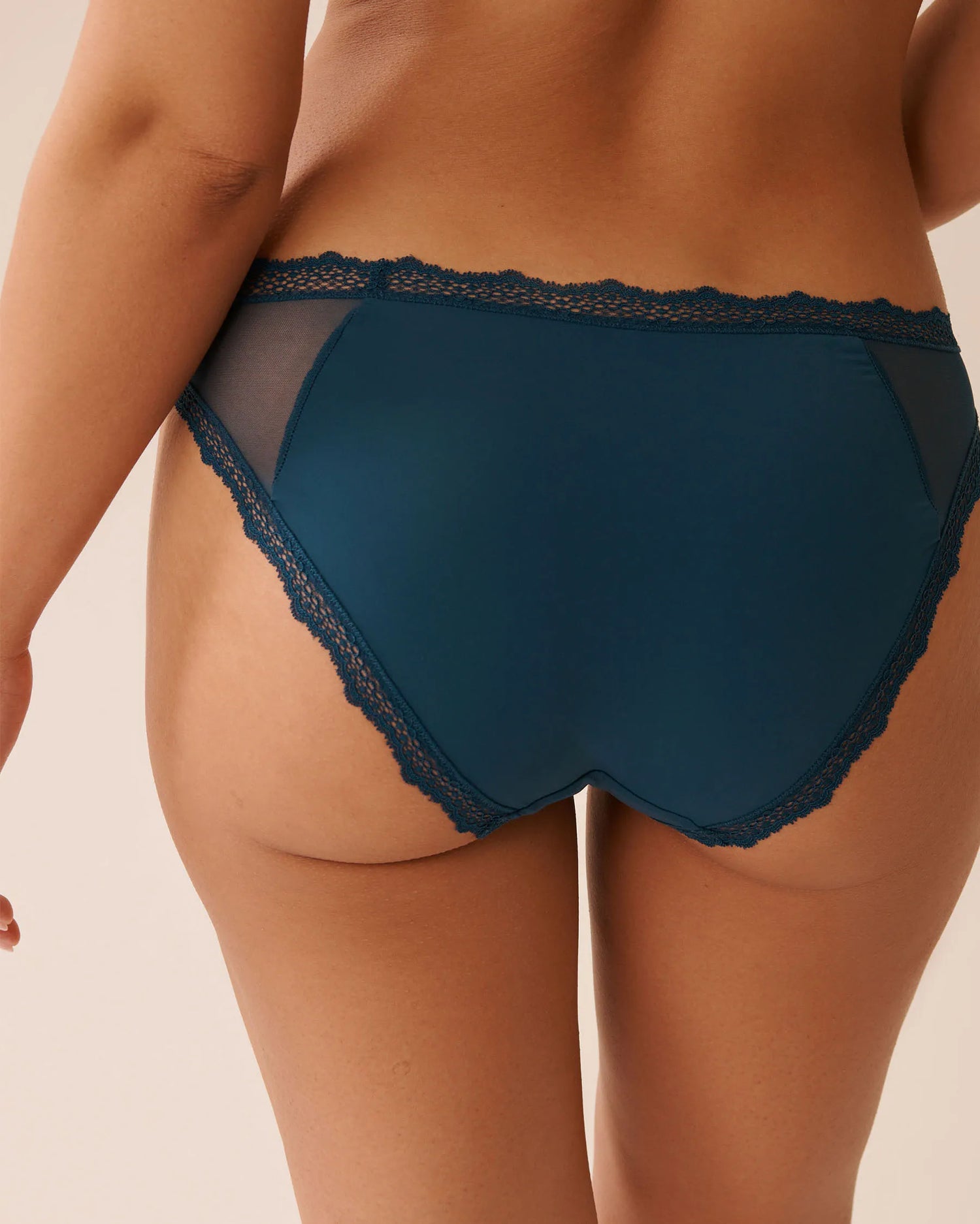 La Vie en Rose_Reflecting Pond_Mesh and Lace Trim Bikini Panty_20200683_40241_02