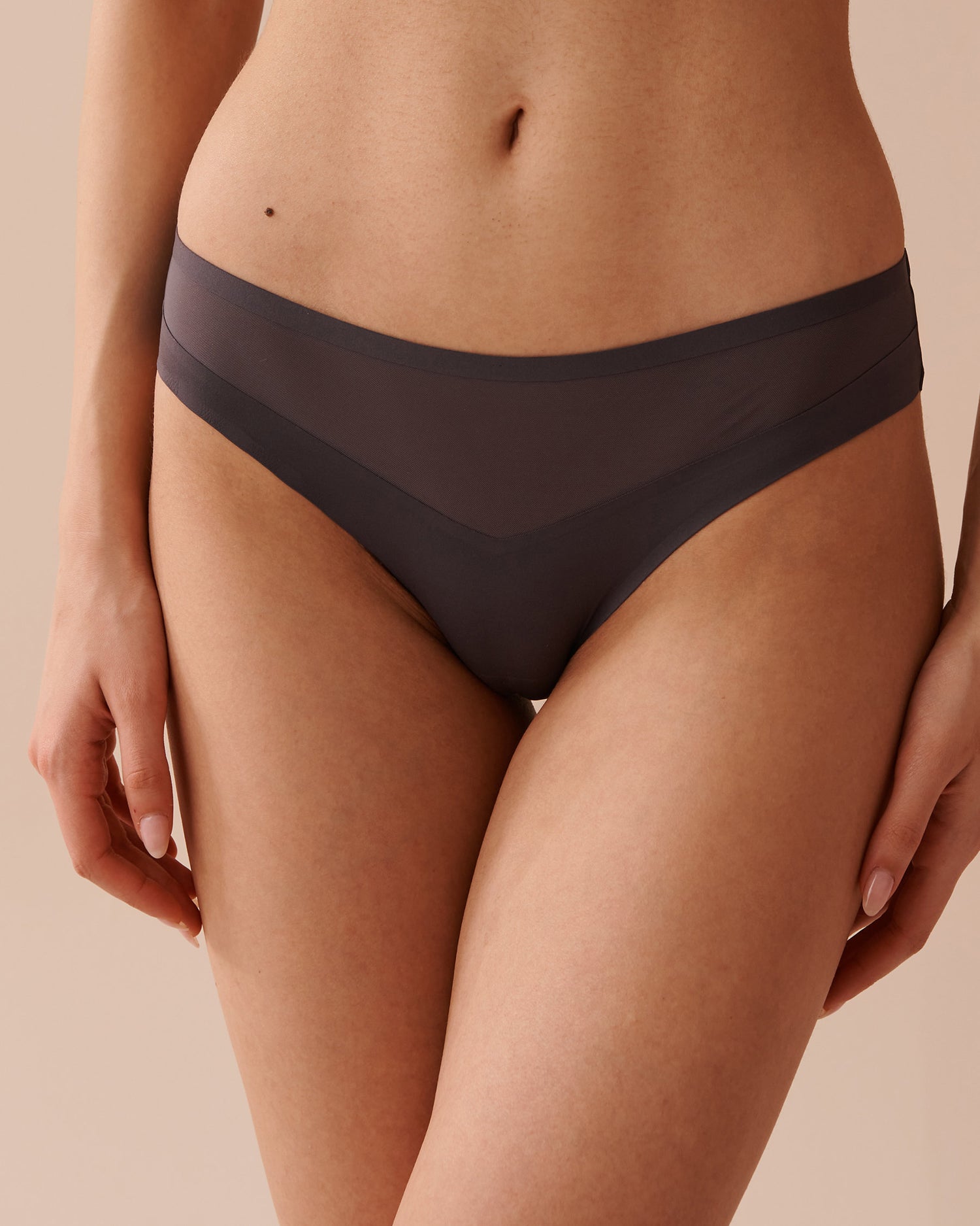 Micro and Mesh Bikini Panty_20300317_00049_01