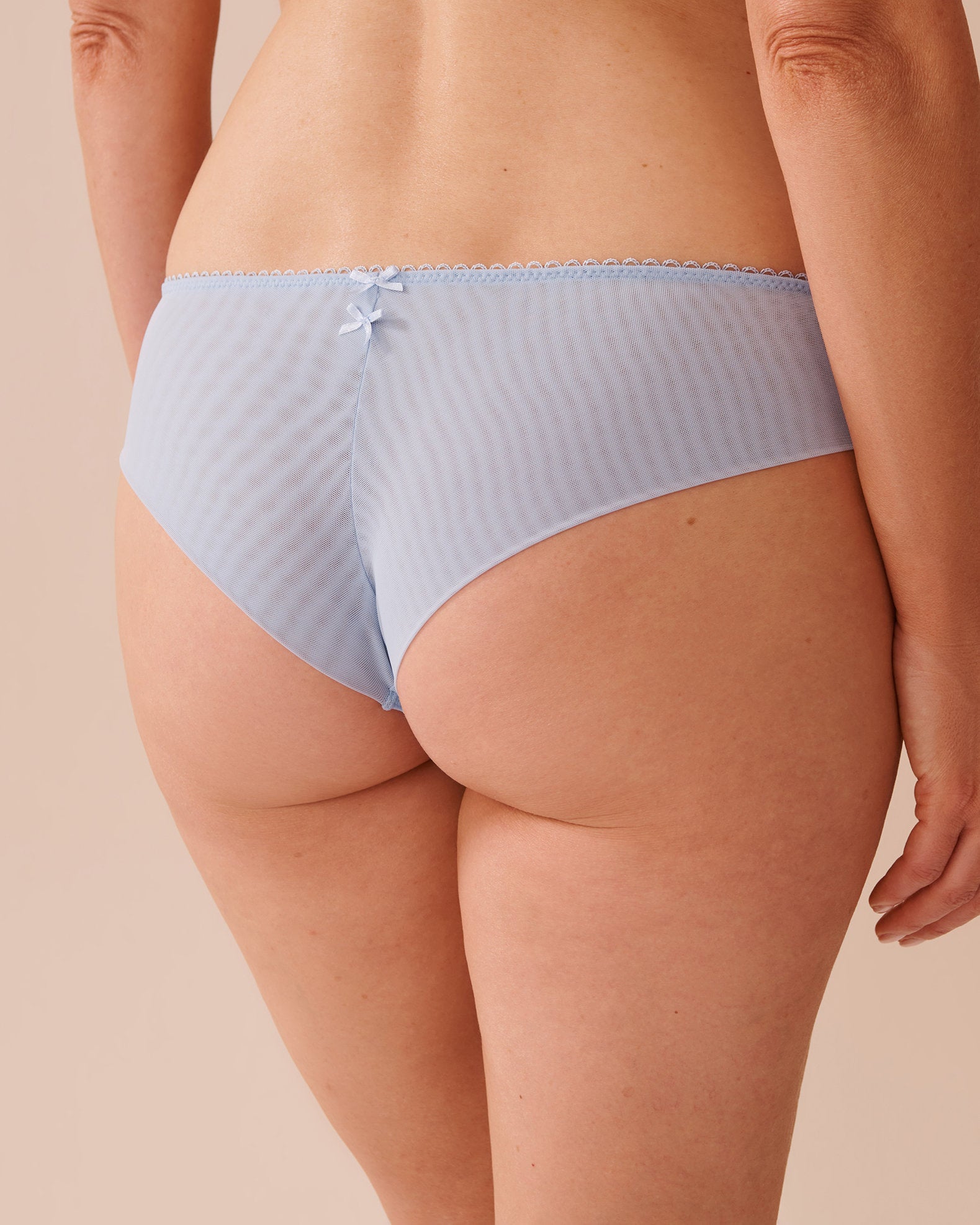 La Vie en Rose_Embroidered Mesh Cheeky Panty_20300364_P40415_02