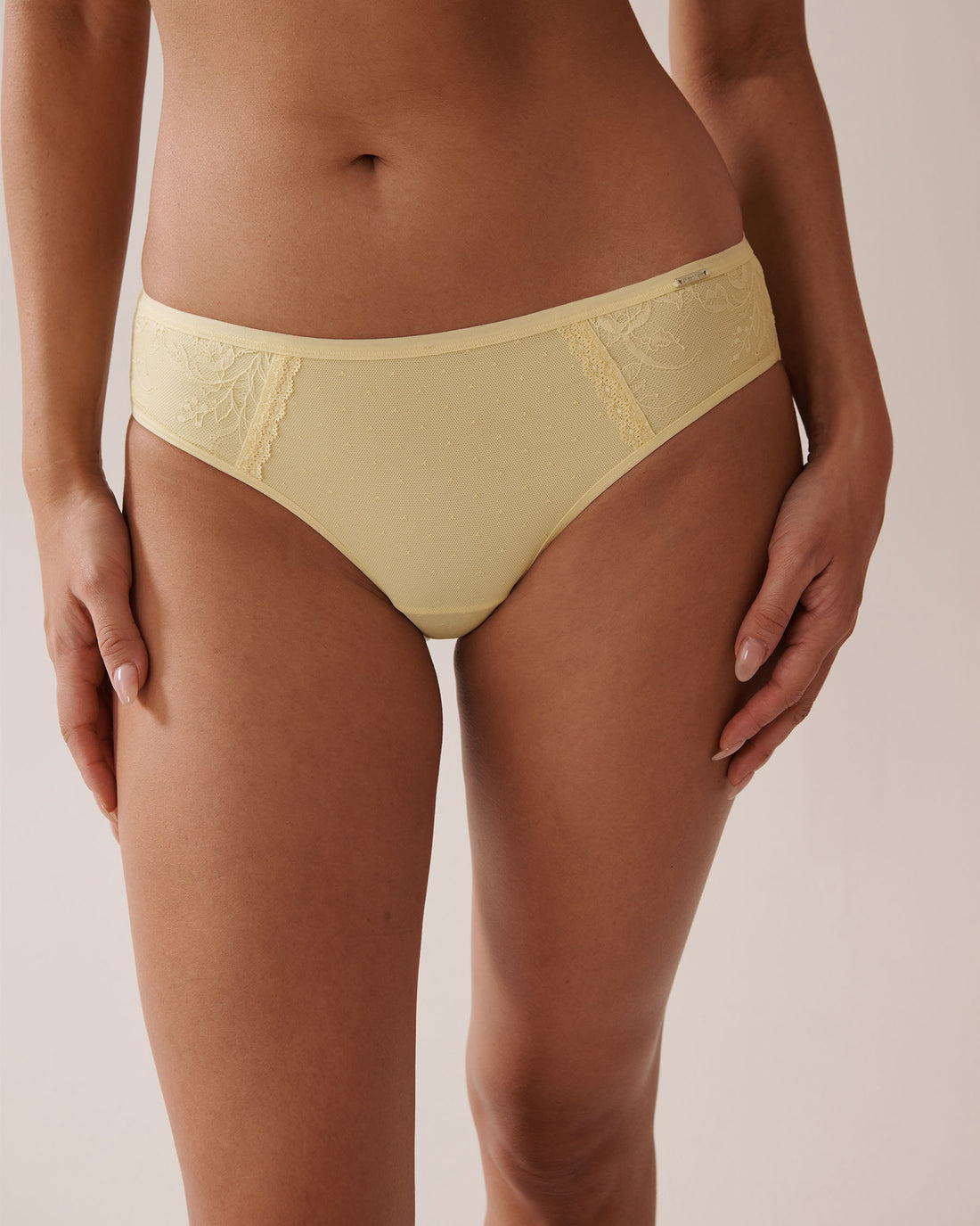 La Vie en Rose_Microfiber and Mesh Sleek Back Bikini Panty_20300386_70033_01