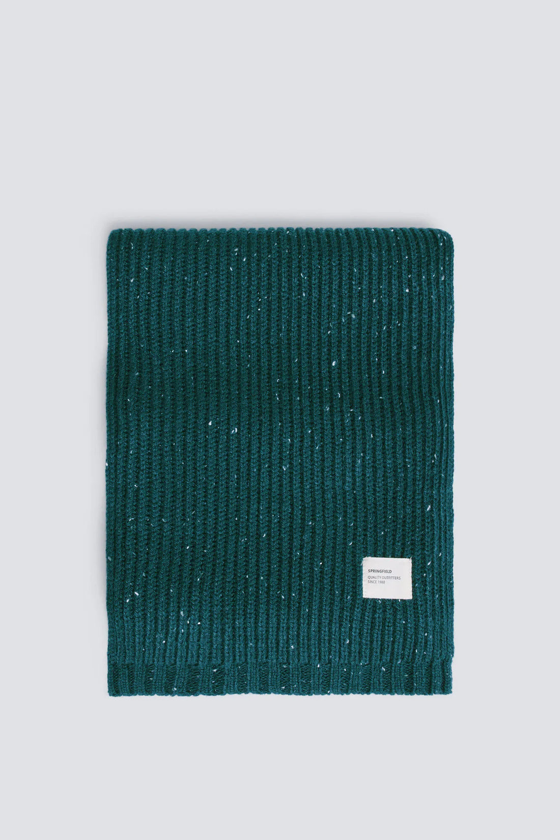 Springfield_blue_Neps Ribbed Scarf_2842382_28_01