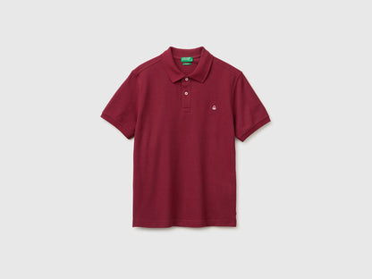 Benetton Burgundy Men Regular Fit Polo SKU: 3089J3179_1P9 Image 01