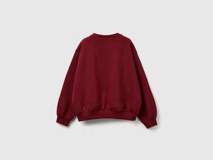 Benetton_Burgundy_©Harvard University Sweatshirt_32N4C10PQ_236_02