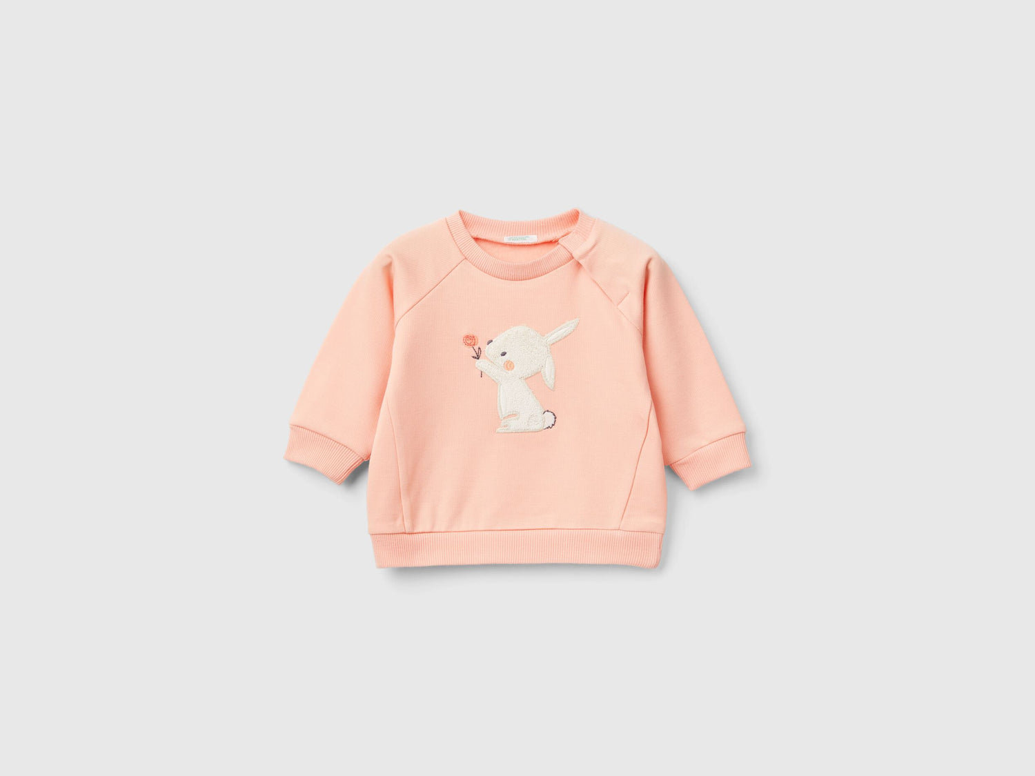 Sweatshirt with Animal Embroidery_36MJA105G_1N7_01