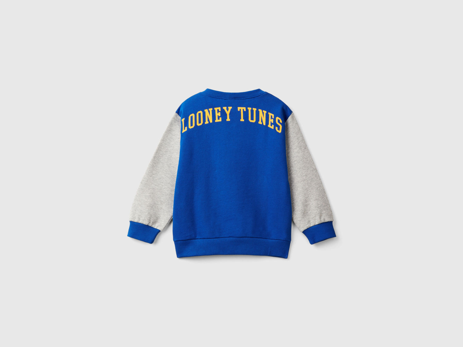 Sweatshirt with ©Looney Tunes Print_3J68G10GX_19R_02