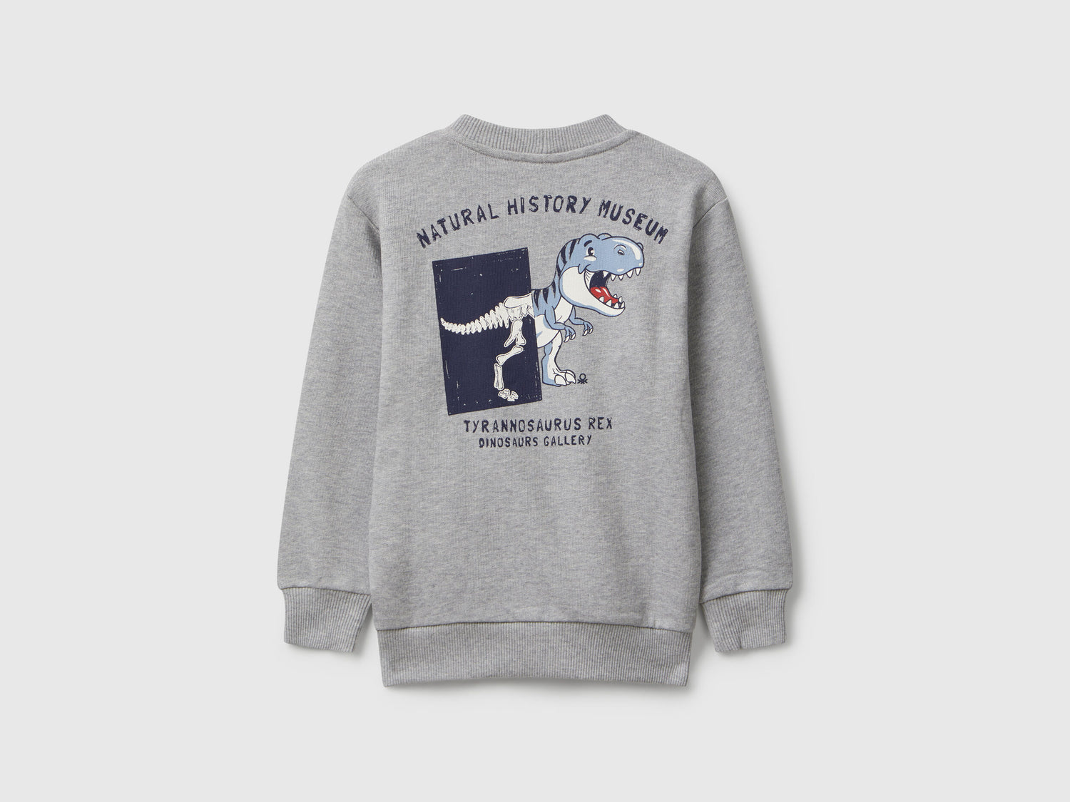 Benetton_Light Gray_Long Sleeve Sweatshirt with Print_3J68G10KN_501_02