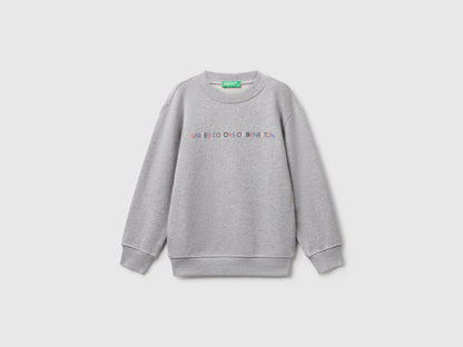 Benetton_Light Gray_Regular Fit Sweatshirt with Print_3J70G10JY_501_01