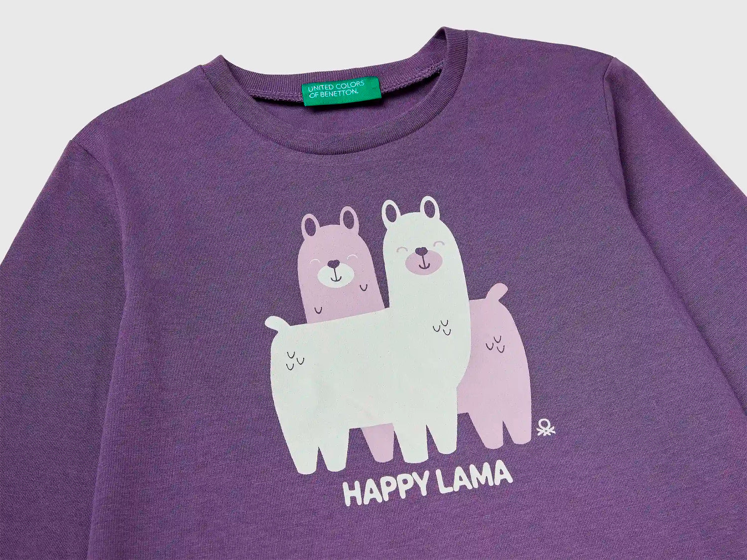 Benetton_Purple_Regular Fit T-Shirt with Print_3JERG10KB_1V4_03