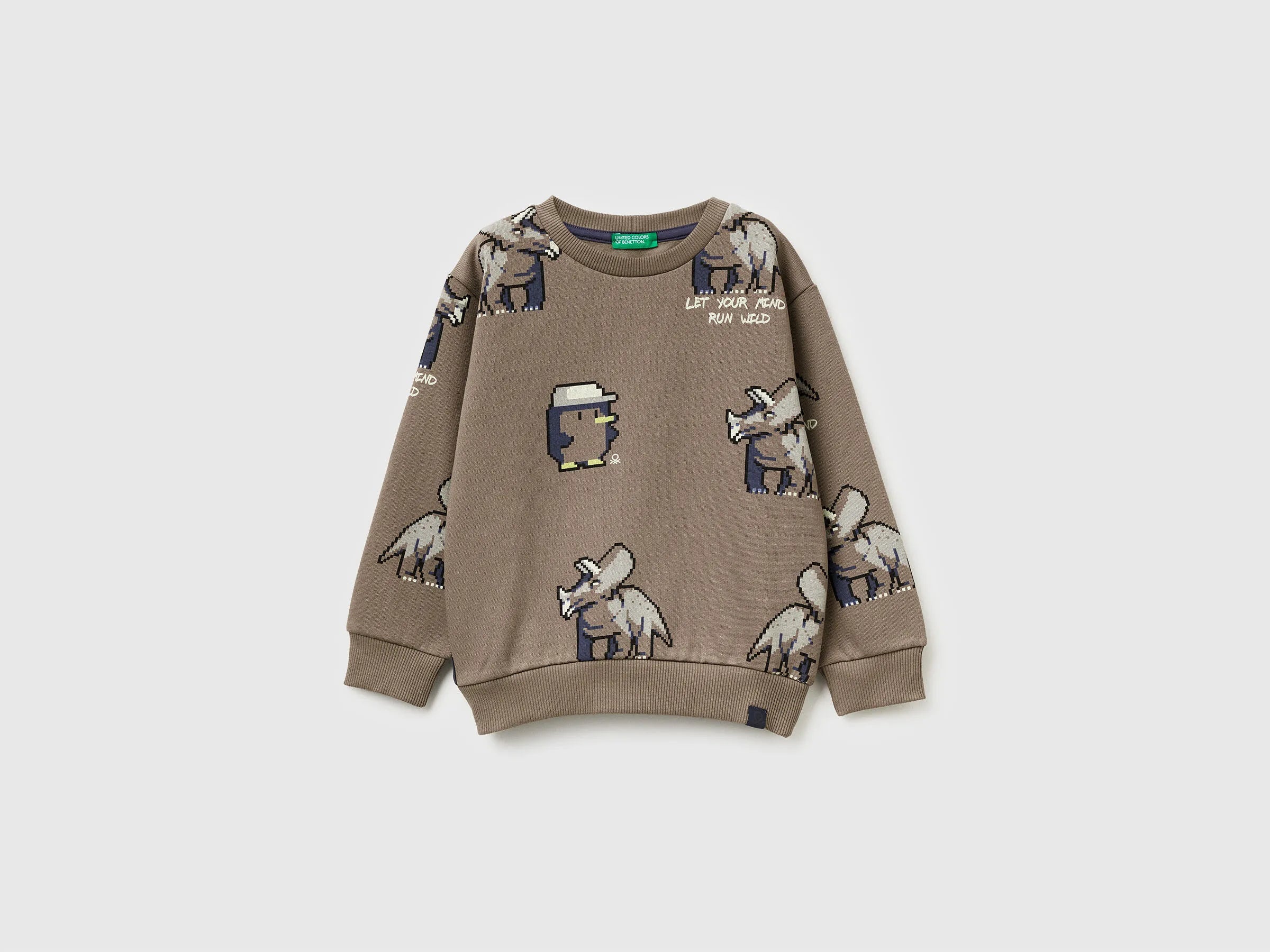 Benetton_Dove Gray_Regular Fit Sweatshirt with Print_3QHCG10KX_68U_01