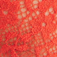 Body Underwired_4027739_63_07