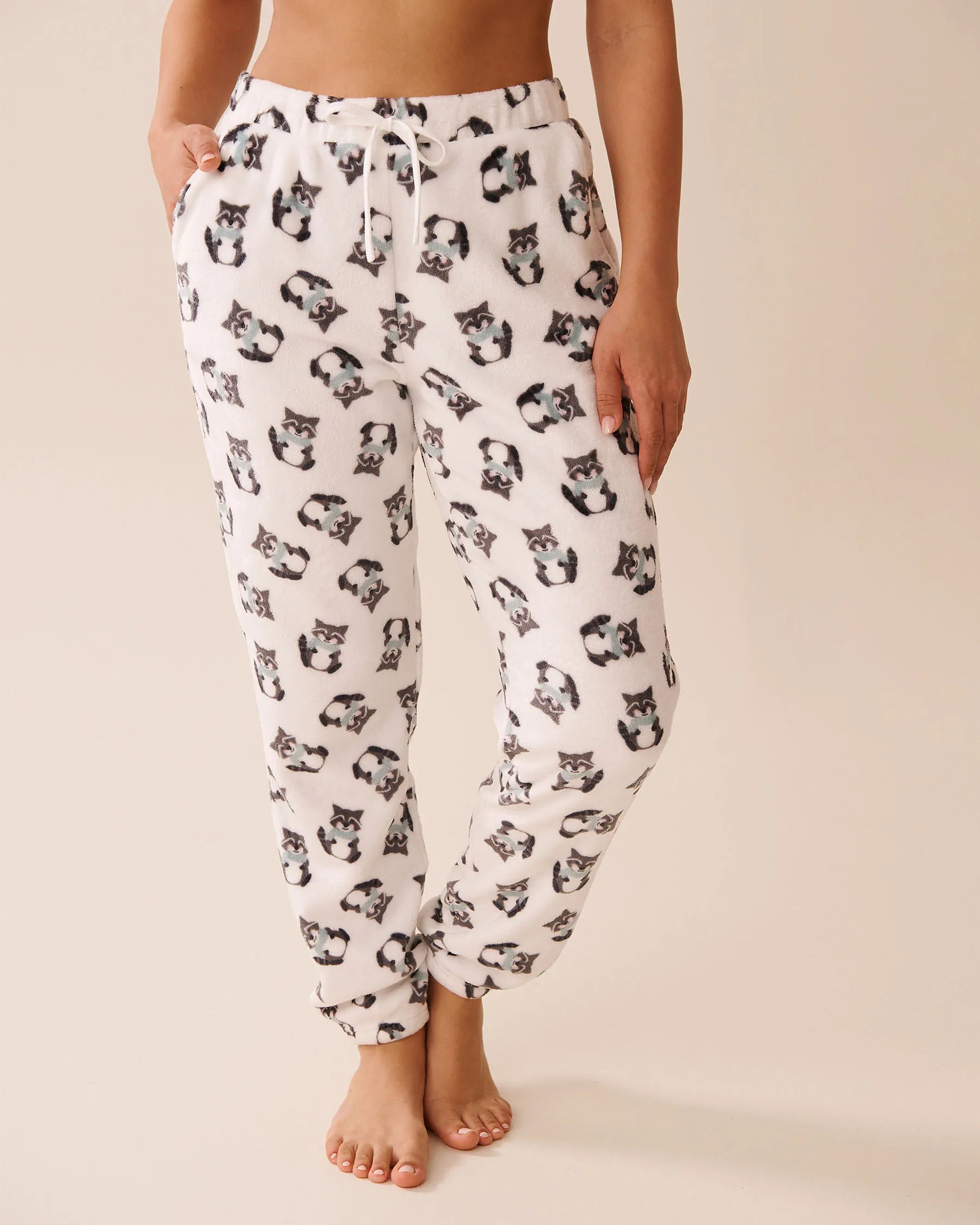 La Vie en Rose_Snow White Raccoon_Raccoon Print Soft Plush Pj Set_40400085_P10523_04