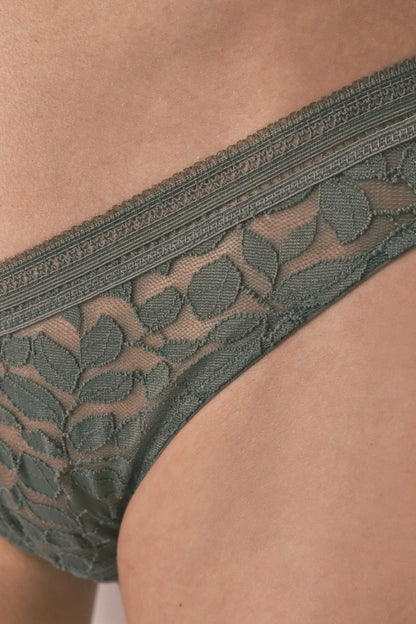 Women Secret_Dark Khaki_Khaki Lace Classic V-Waist Panty_4213729_91_03