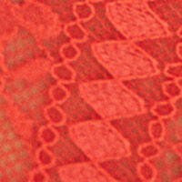 Orange Brazilian Brief_4217546_63_06