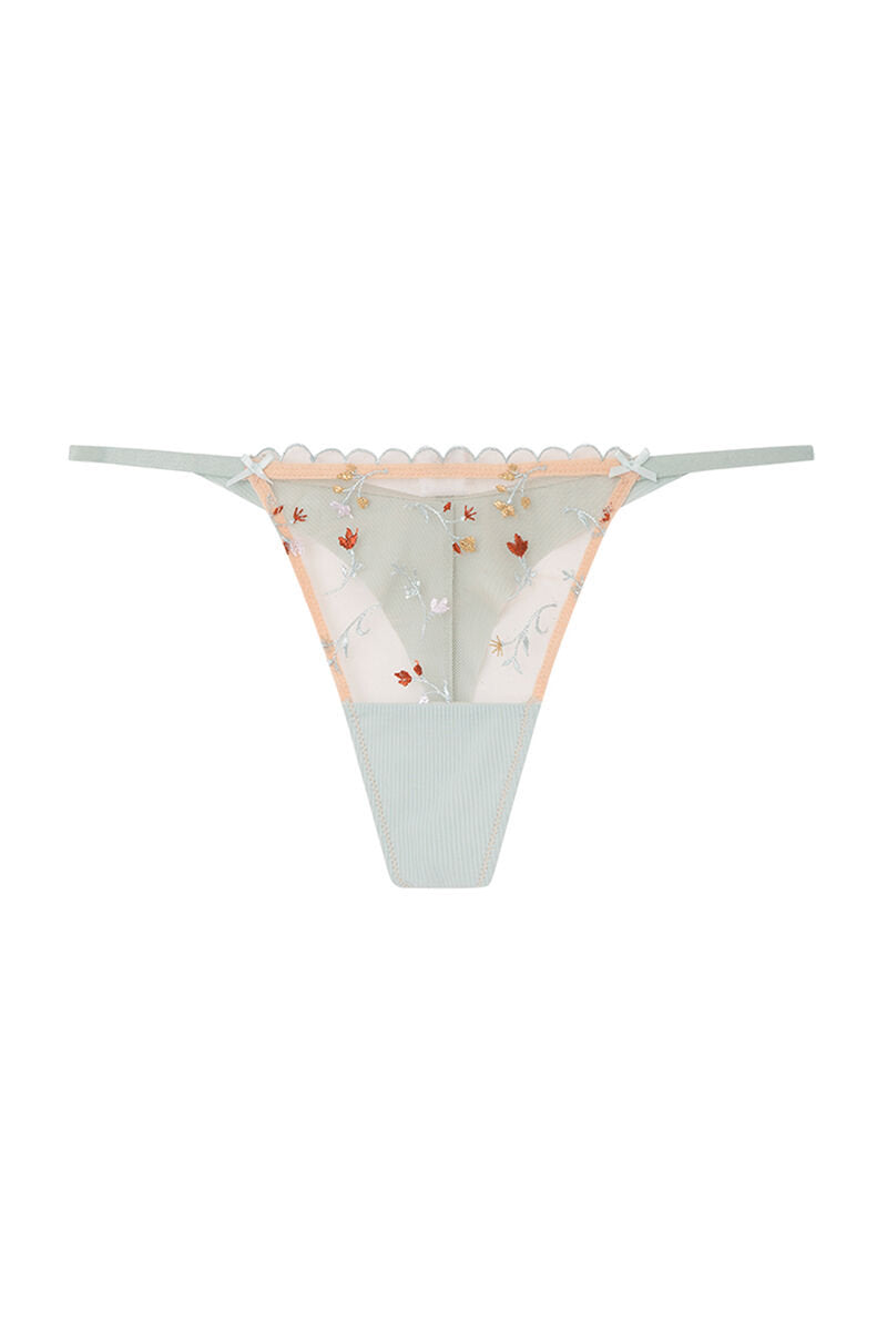Multicoloured Brasilien Briefs_4217556_98_01