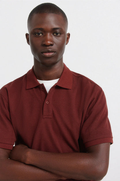 Springfield Red Men Striped Regular Fit Polo Shirt SKU: 4583291_66 Image 02