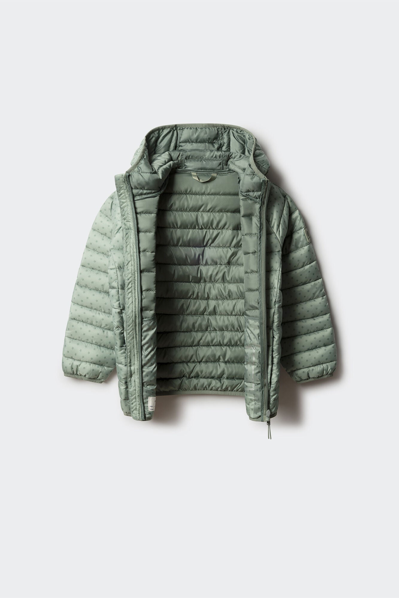 Springfield_Green_Girl&