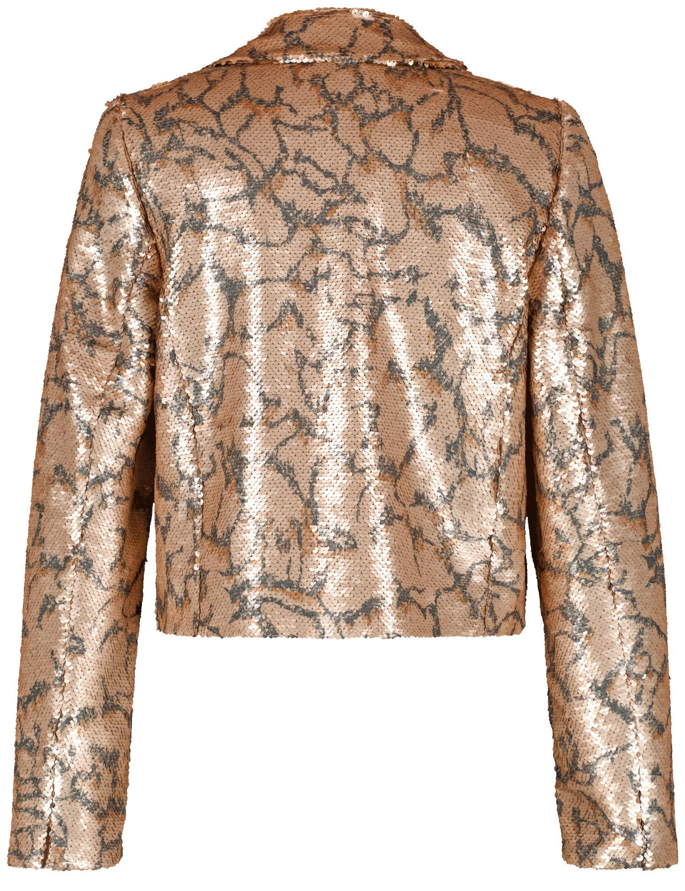 Short Blazer With All-Over Sequins_530311-11062_9282_03