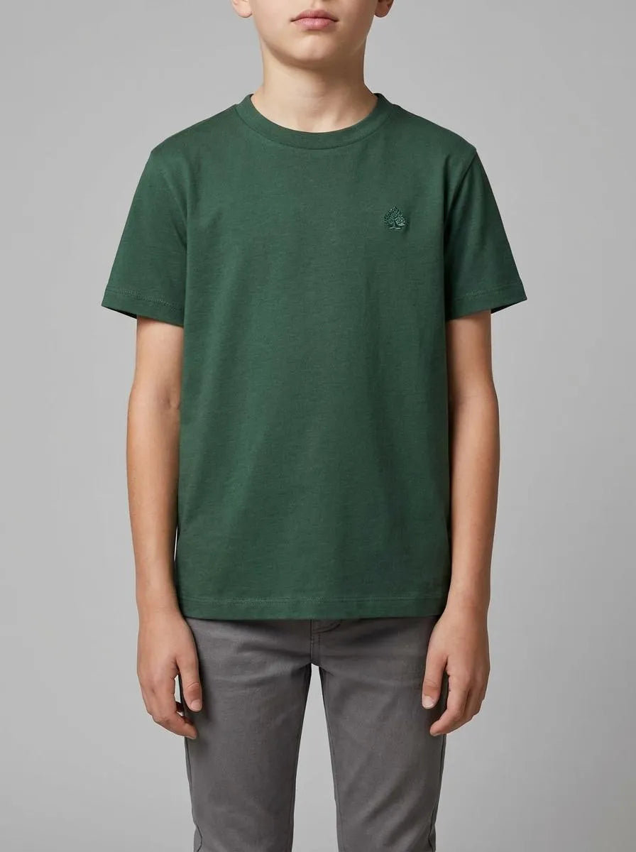 Springfield Green Boys Basic Short-Sleeved T-Shirt SKU: 5653264_27 Image 00