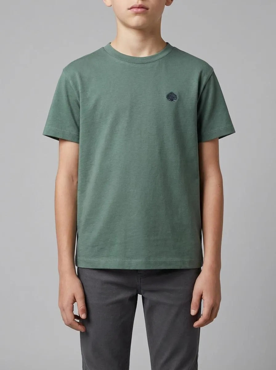 Springfield Blue Boys Basic Short-Sleeved T-Shirt SKU: 5653264_87 Image 00