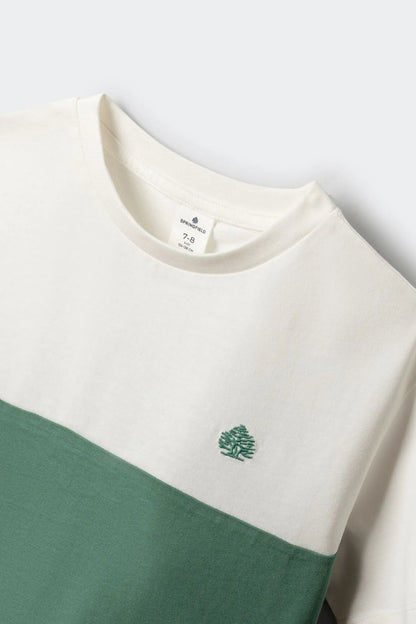Springfield Green Boys Color Block Short Sleeve Boys&