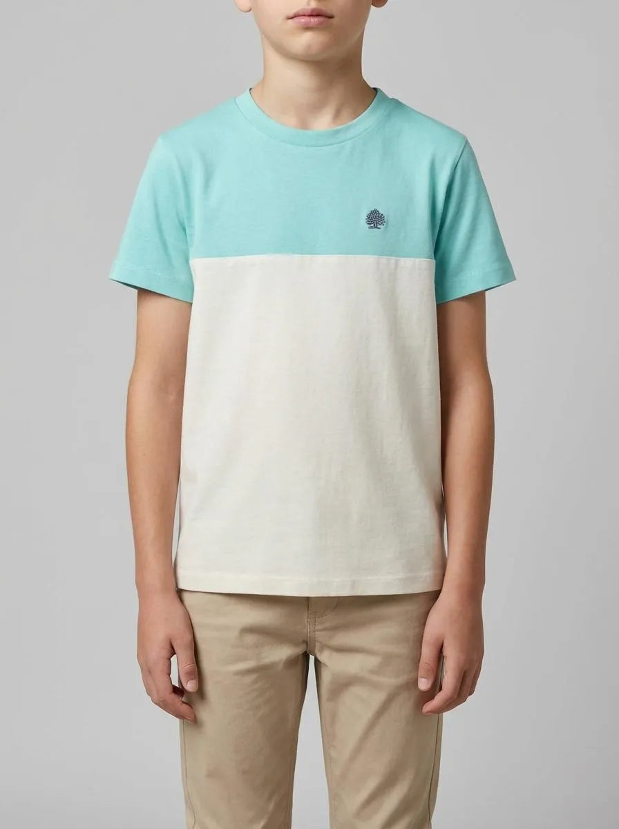 Springfield Blue Boys Color Block Short Sleeve Boys&