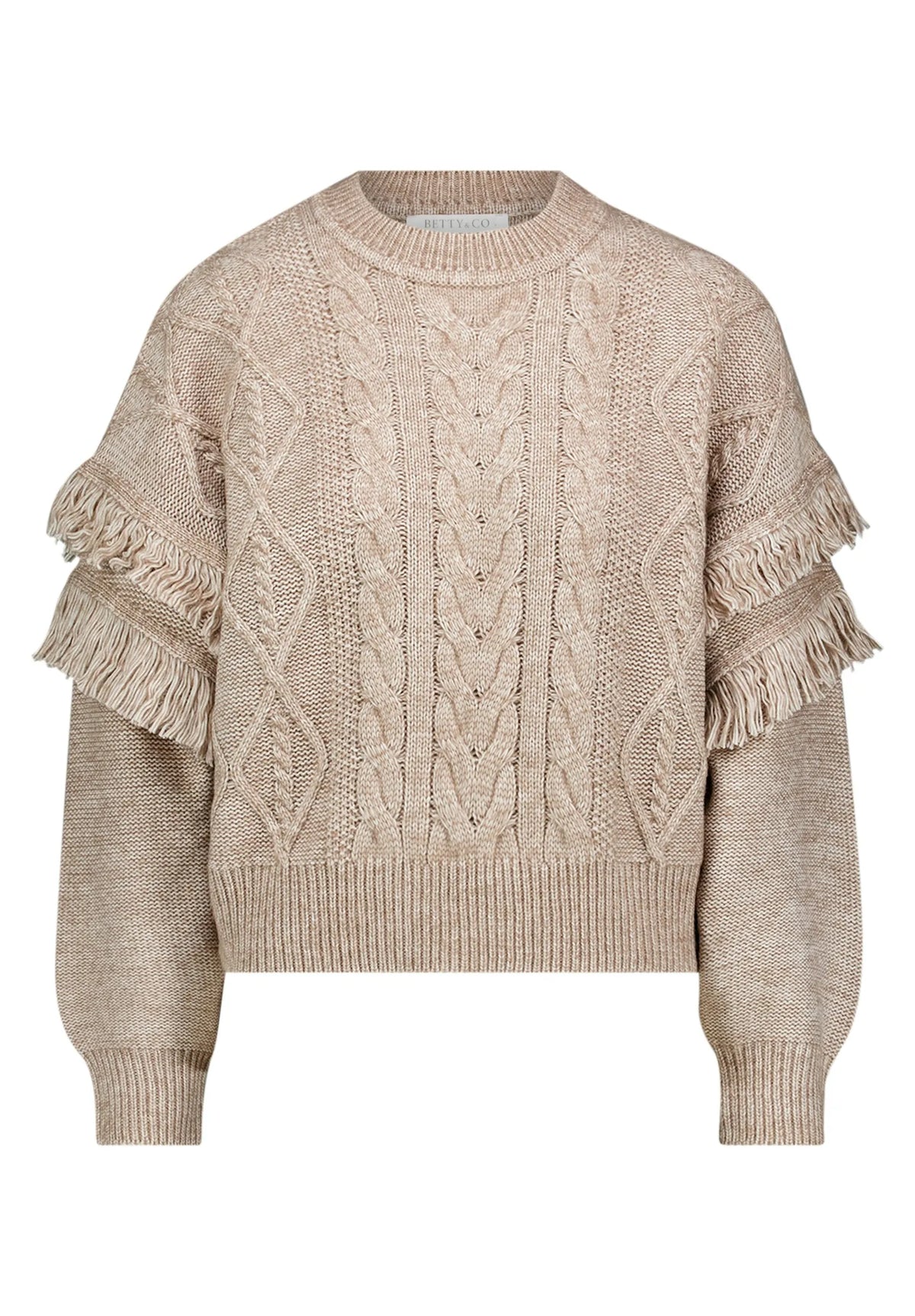 Betty Barclay Taupe Melange Women Knit Jumper SKU: 5968-3276_7714 Image 06