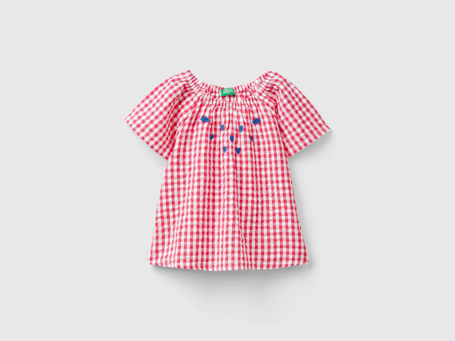 Vichy Shirt With Embroidery_5Qkugq01X_903_01