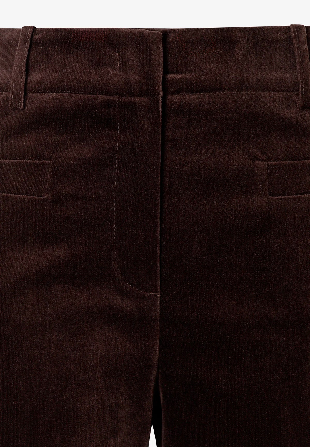 More &amp; More Espresso Brown Women Velvet Trousers SKU: 61094005_M0279 Image 08