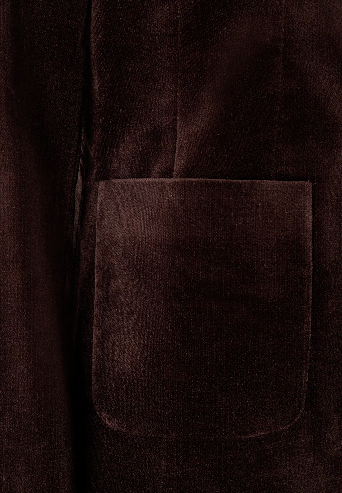 More &amp; More Espresso Brown Women Velvet Blazer SKU: 61096008_M0279 Image 06