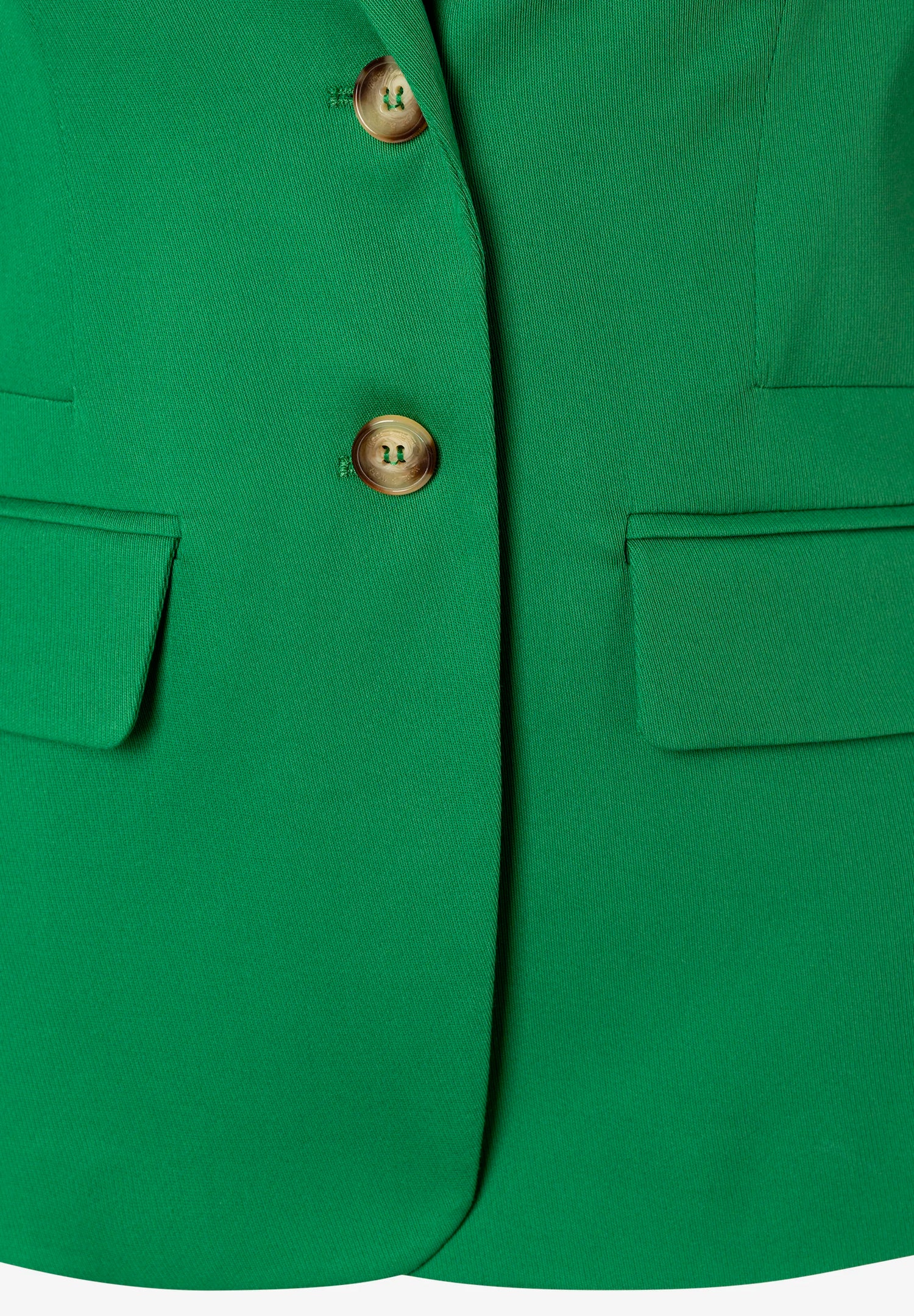 More &amp; More Garden Green Women Blazer with 3/4 Sleeves SKU: 61826595_0640 Image 08